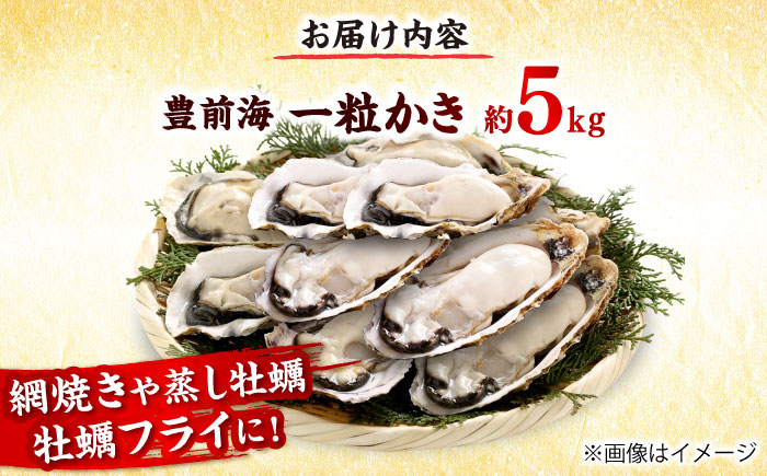 【2026年1月中旬より順次発送】 豊前海 一粒かき 約5kg 吉富町/南水産 [BGBD003]