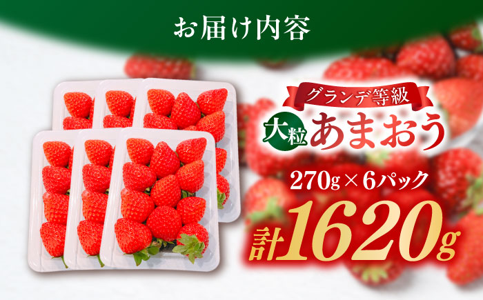 【2026年3月初旬より順次発送】 あまおう いちご 1620g (約270g×6パック) 吉富町/株式会社HSP-テクノ [BGBQ002] 福岡県