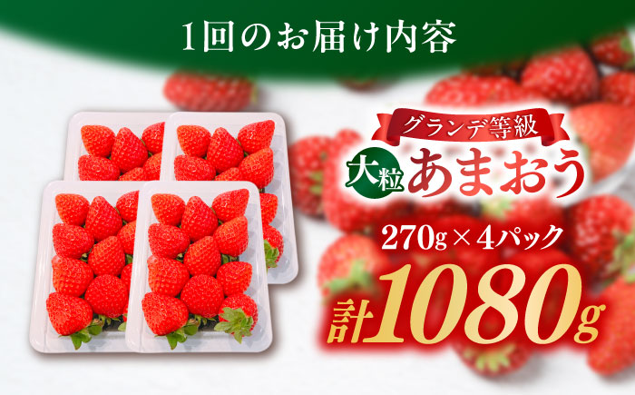 【全2回定期便】【2026年1月中旬より順次発送】 あまおう いちご 1080g (約270g×4パック) 吉富町/株式会社HSP-テクノ [BGBQ003] 福岡県