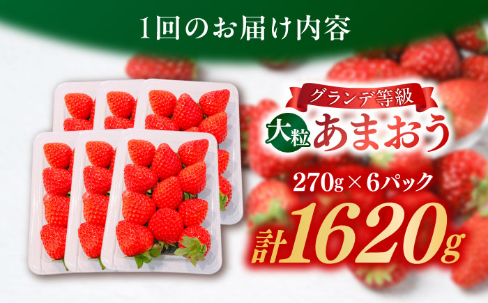 【全2回定期便】【2026年3月初旬より順次発送】 あまおう いちご 1620g (約270g×6パック) 吉富町/株式会社HSP-テクノ [BGBQ004] 福岡県