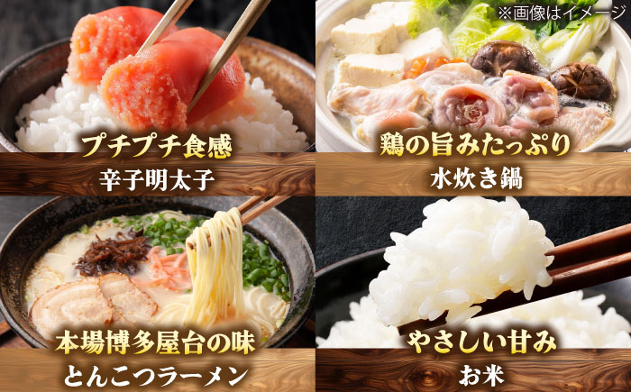 【全10回定期便】博多うまいもん定期便 寄附額 20万円 [BGZZ017]