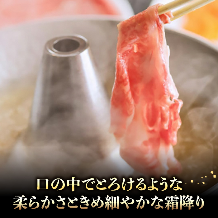 【A4～A5】博多和牛 特選 しゃぶしゃぶ用 690g (230g×3) 吉富町/株式会社ゼロプラス [BGAA029] 肉 牛肉 和牛 国産 すきやき すき焼き 赤身 霜降り スライス しゃぶしゃぶ 薄切り 福岡 人気 すき焼き鍋