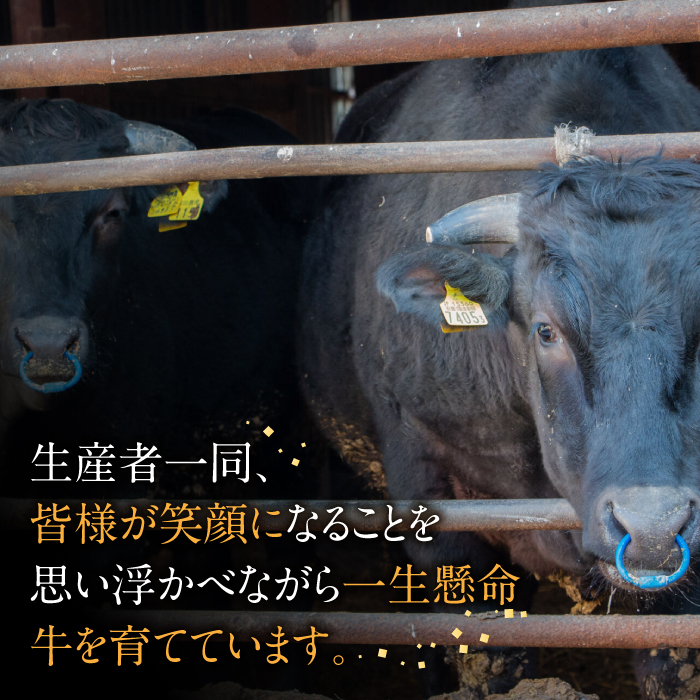 【A4～A5】博多和牛 ミスジ 焼肉 450g 希少部位 吉富町/株式会社ゼロプラス [BGAA035] 肉 牛肉 和牛 黒毛和牛 国産 赤身 霜降り 焼き肉 やきにく 焼肉用 みすじ 福岡 人気 高級 お取り寄せ お祝い 美味しい 希少部位 ギフト BBQ バーベキュー 送料無料