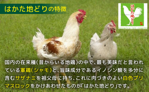 はかた地どり モモムネセット 2kg(1kg×2P) 吉富町/株式会社MEAT PLUS [BGAB027] 鶏肉 ブランド鶏 モモ肉 胸肉 鶏モモ 鶏むね肉 ふるさと 福岡県