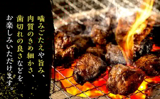 はかた地どり 炭火焼セット 500g(100g×5P) 吉富町/株式会社MEAT PLUS [BGAB028] 鶏肉 鳥肉 地鶏 ブランド鶏 福岡県