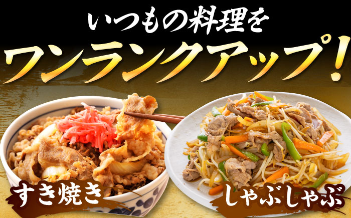 【訳あり】【a4ランク ~ a5ランク】博多和牛 切り落とし 1.2kg (600g×2パック) 吉富町/株式会社MEAT PLUS [BGAB055] 国産 和牛 ブランド牛 切り落とし 赤身 小分け きりおとし 国産牛 切りおとし 訳アリ わけあり 福岡 おすすめ 肩 バラ 福岡県
