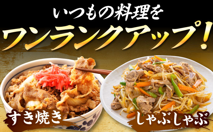 【A4～A5】 博多和牛 切り落とし 400g 吉富町/株式会社MEAT PLUS [BGAB062] 牛肉 和牛 国産 ブランド牛 うす切り 切りおとし 切り落とし肉 赤身 牛丼 炒め物 冷凍 福岡 福岡県