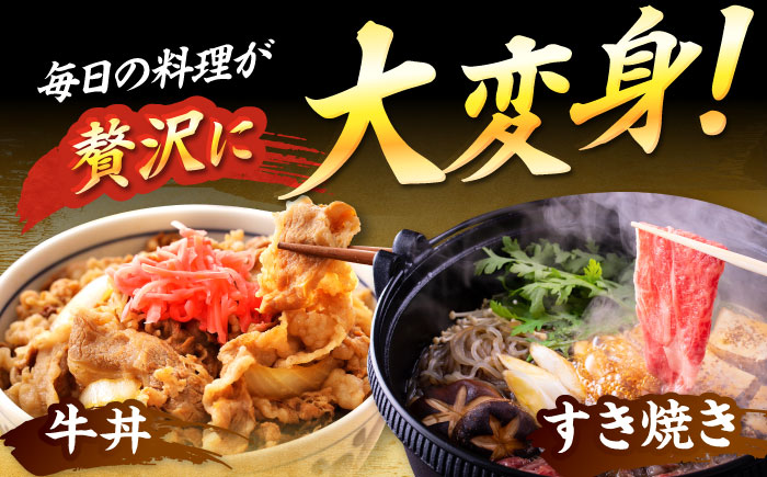 【A4～A5】 博多和牛 大判霜降り 贅沢切り落とし 750g (250g×3P) 吉富町/株式会社MEAT PLUS [BGAB110]