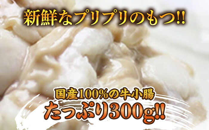 博多 明太 醤油 もつ鍋 セット 2～3人前 吉富町/株式会社ベネフィス [BGAF010] 牛肉 牛小腸 ホルモン もつなべ モツ鍋 鍋 なべ もつ鍋セット しょうゆ 牛もつ セット スープ付き 福岡 明太子 明太チューブ 人気 おすすめ 簡単調理 おいしい グルメ お取り寄せ 福岡県