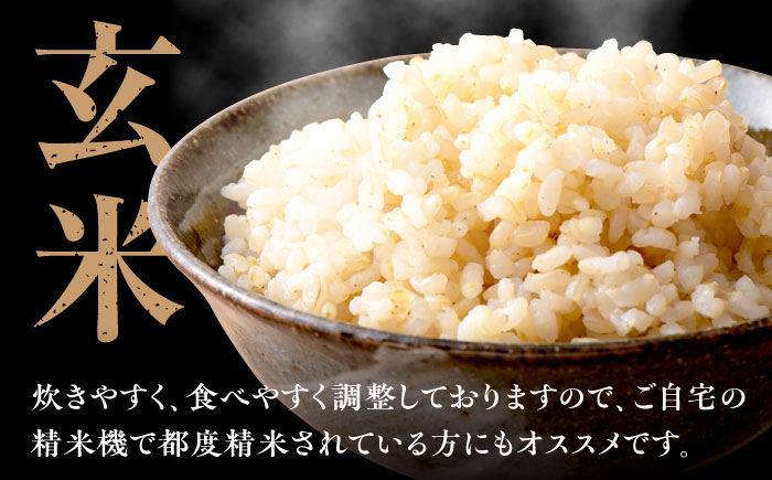 福岡県産 元気つくし 玄米 5kg×1袋 吉富町/株式会社ベネフィス [BGAF026]