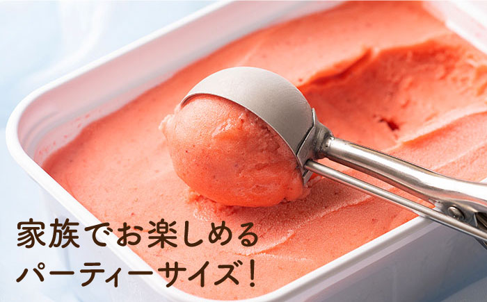 【2026年4月以降順次発送】【採れたて】福岡産 濃厚 あまおうジェラート 1000ml 吉富町/南国フルーツ株式会社 [BGAG005] じぇらーと アイスクリーム アイス ジェラート スイーツ おやつ 人気 福岡県