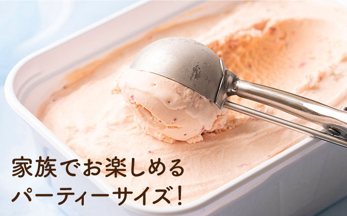 【2026年4月以降順次発送】福岡産 あまおうジェラート1000ml 吉富町/南国フルーツ株式会社 [BGAG006] じぇらーと アイスクリーム アイス ジェラート スイーツ おやつ 人気 福岡県