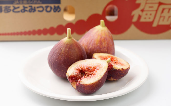 【2025年8月上旬より順次発送】福岡産ブランド無花果 とよみつひめ 約300g×4パック 吉富町/南国フルーツ株式会社 [BGAG012] いちじく イチジク 青果物 果物 くだもの フルーツ 甘い 旬 ふるさと納税 福岡県
