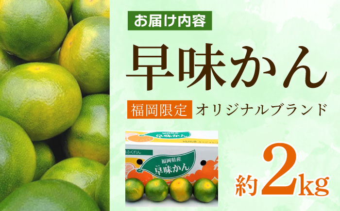 【9月中旬より順次発送】【福岡限定】オリジナルブランド「早味かん」約2kg 吉富町/南国フルーツ株式会社 [BGAG013] 果物 くだもの フルーツ みかん ミカン 蜜柑 オレンジ 旬 柑橘 ふるさと納税 福岡県
