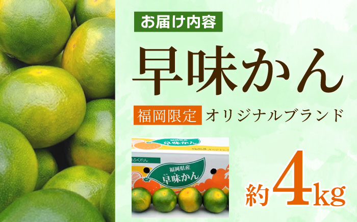 【9月中旬より順次発送】【福岡限定】オリジナルブランド「早味かん」約4kg 吉富町/南国フルーツ株式会社 [BGAG014] 果物 くだもの フルーツ みかん ミカン 蜜柑 オレンジ 旬 柑橘 ふるさと納税 福岡県