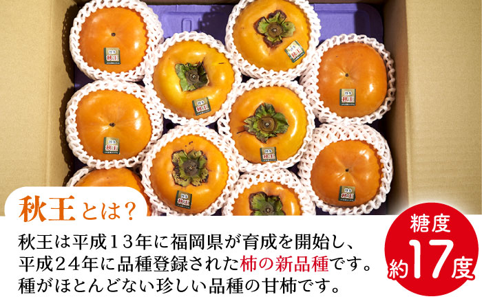 【2025年10月中旬より順次発送】福岡産ブランド 秋王柿 約1.5kg(4-6玉) 吉富町/南国フルーツ株式会社 [BGAG015] フルーツ 果物 くだもの 柿 かき 種なし たねなし 秋王 ふるさと納税 福岡県
