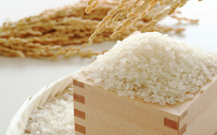 【令和6年産】果物屋さんが選んだ米 夢つくし 10kg 吉富町/南国フルーツ株式会社 [BGAG023]精米 新米 ゆめつくし 白米 米 お米 精米 おこめ こめ コメ ごはん ご飯 九州 福岡県 送料無料 ふるさと納税