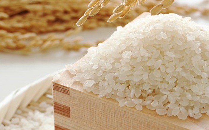 【令和6年産】果物屋さんが選んだ米 元気つくし 10kg 吉富町/南国フルーツ株式会社 [BGAG025] 精米 新米 げんきつくし 白米 米 お米 精米 おこめ こめ コメ ごはん ご飯 九州 福岡県 送料無料 ふるさと納税