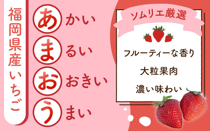 【全3回定期便】福岡産 冬あまおう 250g×2P 吉富町/南国フルーツ株式会社 [BGAG041] 果物 フルーツ デザート いちご イチゴ 苺 あまおう 人気 美味しい ふるさと納税