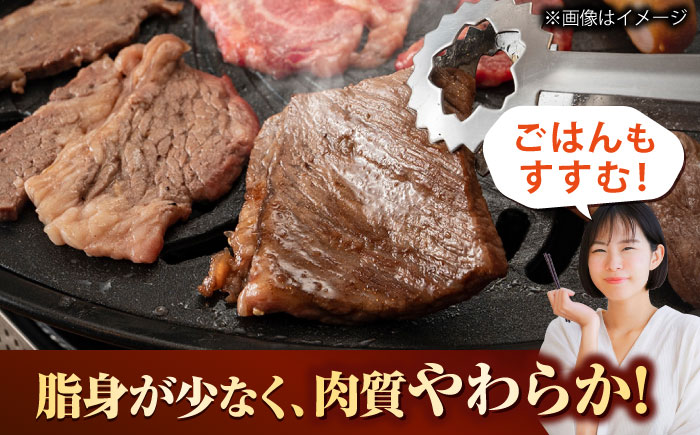 【訳あり】 博多和牛 ヒレ 焼肉用 600g 吉富町/久田精肉店株式会社 [BGAM012]