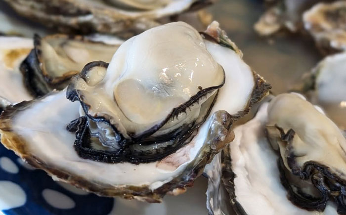 【2026年1月中旬より順次発送】 豊前海 一粒かき 約5kg 吉富町/南水産 [BGBD003]