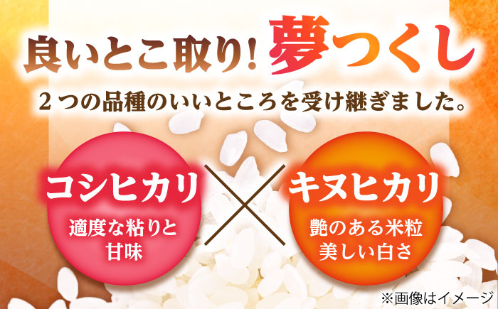【隔月3回定期便】【令和7年度】 白米 福岡県産米 夢つくし 5kg 吉富町/株式会社ツクローネ吉富 [BGBN004]