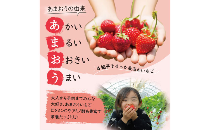 【2026年1月中旬より順次発送】 あまおう いちご 1080g (約270g×4パック) 吉富町/株式会社HSP-テクノ [BGBQ001] 福岡県