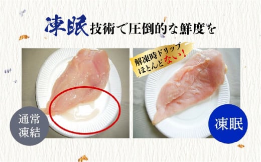 【福岡限定】はかた地どり美人水炊き5種セット 2～3人前 吉富町/株式会社MEAT PLUS [BGAB007] みずたき 鍋 鍋セット 人気 ふるさと 福岡県 博多