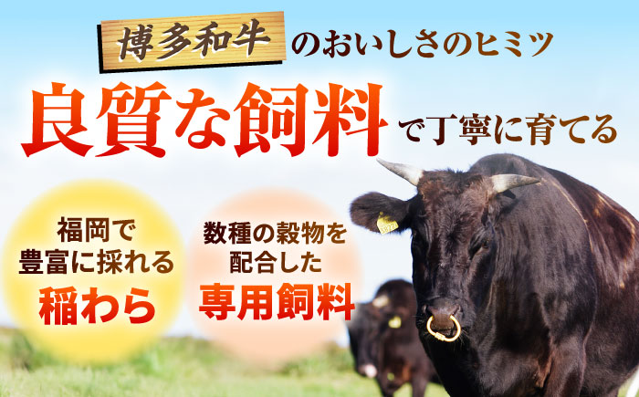 博多和牛 サーロインブロック 約1kg 吉富町/株式会社MEAT PLUS [BGAB011] さーろいん サーロインステーキ 塊肉 バーベキュー 福岡県