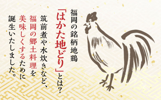 はかた地どり 炭火焼セット 500g(100g×5P) 吉富町/株式会社MEAT PLUS [BGAB028] 鶏肉 鳥肉 地鶏 ブランド鶏 福岡県