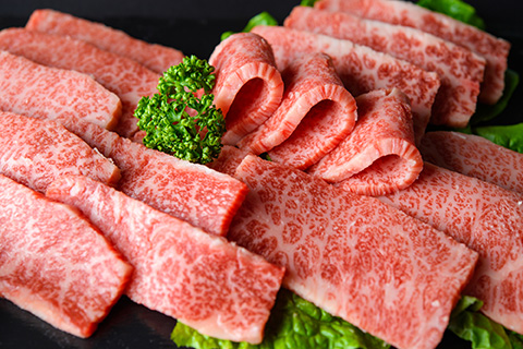 【A4～A5】博多和牛 焼肉用 500g 吉富町/株式会社MEAT PLUS [BGAB064] 肉 牛肉 赤身 焼肉 焼き肉 焼肉セット やきにく バラ肉 肩ロース BBQ バーベキュー 冷凍 国産 人気 おすすめ お取り寄せ 福岡県