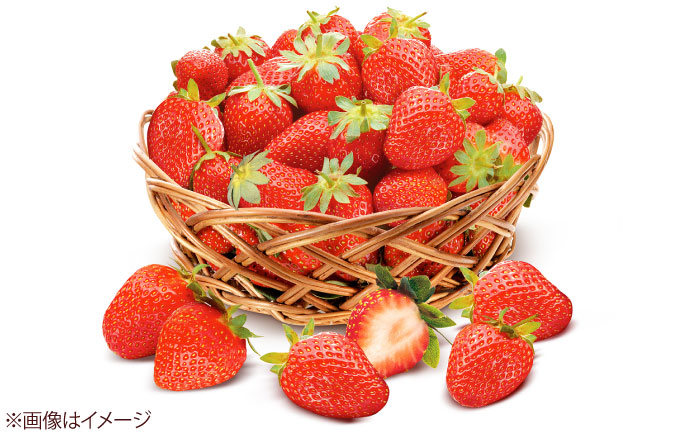 【化粧箱入】あまおう大福 8個 50g×8個(計400g) 吉富町/株式会社博多漁師の里 [BGAE047] 福岡県 和菓子 スイーツ おやつ フルーツ大福 くだもの 果物 大福 イチゴ大福 いちご 苺大福 和菓子 和スイーツ 人気 おすすめ 贈答 ギフト ふるさと納税