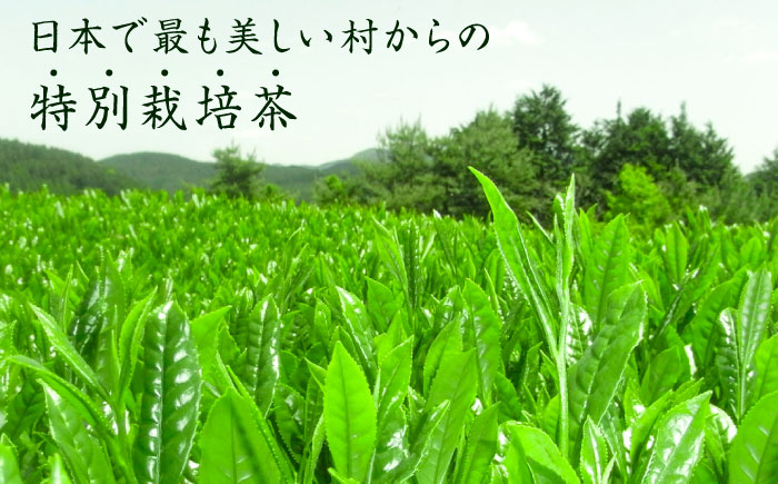 奥八女星野村 八女茶 深蒸し高級煎茶 (深蒸し茶) 100g×2袋 吉富町/株式会社ベネフィス [BGAF013] お茶 茶 深むし茶 深蒸し 緑茶 日本茶 高級 煎茶 茶葉 国産 カテキン ギフト 贈り物 福岡 八女 人気 おすすめ 福岡県