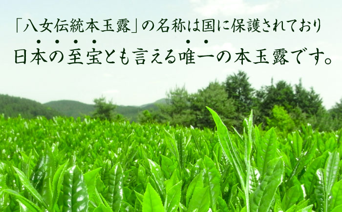 奥八女星野村 八女茶 伝統本玉露 50g×2袋 吉富町/株式会社ベネフィス [BGAF015] お茶 茶 緑茶 日本茶 高級 煎茶 伝統 本玉露 玉露 茶葉 国産 カテキン ギフト 贈り物 福岡 八女 こだわり 飲料 手摘み 人気 おすすめ 福岡県