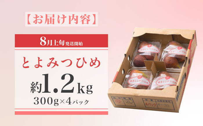 【2025年8月上旬より順次発送】福岡産ブランド無花果 とよみつひめ 約300g×4パック 吉富町/南国フルーツ株式会社 [BGAG012] いちじく イチジク 青果物 果物 くだもの フルーツ 甘い 旬 ふるさと納税 福岡県