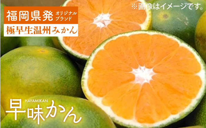 【9月中旬より順次発送】【福岡限定】オリジナルブランド「早味かん」約2kg 吉富町/南国フルーツ株式会社 [BGAG013] 果物 くだもの フルーツ みかん ミカン 蜜柑 オレンジ 旬 柑橘 ふるさと納税 福岡県