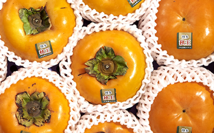 【2025年10月中旬より順次発送】福岡産ブランド 秋王柿 約1.5kg(4-6玉) 吉富町/南国フルーツ株式会社 [BGAG015] フルーツ 果物 くだもの 柿 かき 種なし たねなし 秋王 ふるさと納税 福岡県