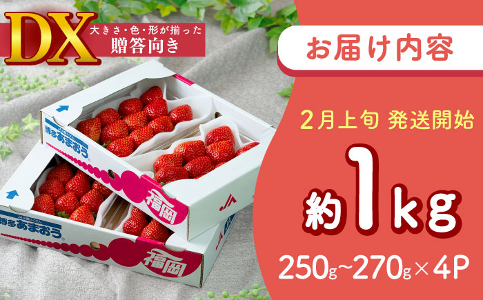 【2026年2月上旬より順次発送】フルーツソムリエが選んだ【春】あまおうDX(デラックス)4パック 吉富町/南国フルーツ株式会社 [BGAG019] 果物 フルーツ デザート いちご イチゴ 苺 あまおう 人気 美味しい ふるさと納税 福岡県
