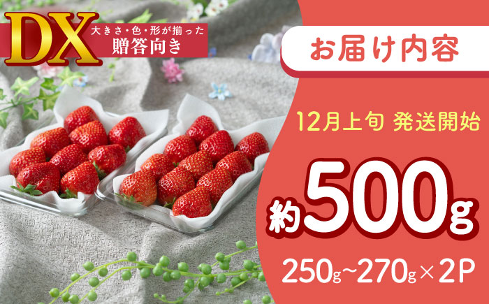 【2025年12月上旬より順次発送】フルーツソムリエが選んだ【冬】あまおうDX(デラックス)2パック 吉富町/南国フルーツ株式会社 [BGAG020] 果物 フルーツ デザート いちご イチゴ 苺 あまおう 人気 美味しい ふるさと納税 福岡県