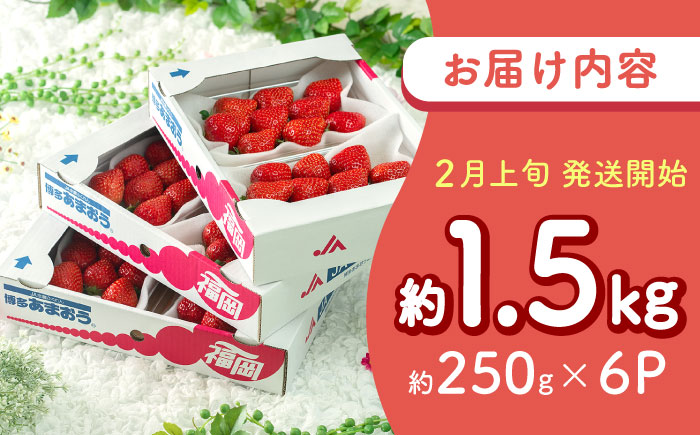 【2026年2月上旬より順次発送】福岡産【春】 あまおう 6パック 吉富町/南国フルーツ株式会社 [BGAG026] 果物 フルーツ デザート いちご イチゴ 苺 あまおう 人気 美味しい ふるさと納税 福岡県