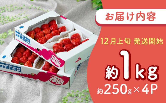 【2025年12月上旬より順次発送】福岡産【冬】 あまおう 4パック 吉富町/南国フルーツ株式会社 [BGAG027] 果物 フルーツ デザート いちご イチゴ 苺 あまおう 人気 美味しい ふるさと納税 福岡県