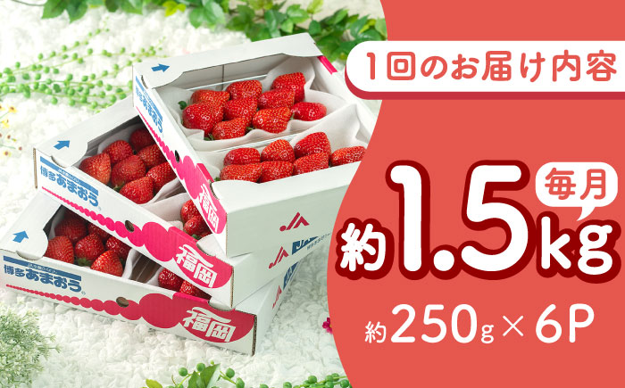 【全2回定期便】福岡産【春】 あまおう 6パック 吉富町/南国フルーツ株式会社 [BGAG052]