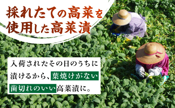 老舗逸品 恵み高菜漬け3種セット 吉富町/株式会社若山食品 [BGAX002] 漬物 漬け物 高菜 高菜漬物 たかな 高菜漬け たかな漬け ご飯のお供 九州 漬け物セット ギフト 福岡県