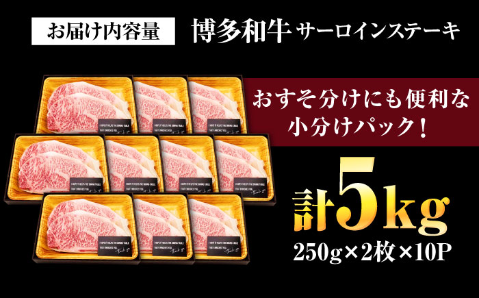 【訳あり】【A4～A5】博多和牛 サーロインステーキ 5kg(250g×2枚×10パック) 吉富町/株式会社MEAT PLUS [BGAB015] 和牛 国産牛 小分け サーロイン ステーキ 霜降り 冷凍 訳アリ ワケアリ わけあり 福岡県