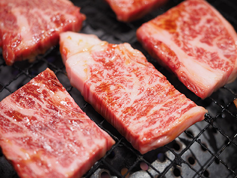 【A4～A5】 博多和牛 焼肉用 1kg(500g×2p) 吉富町/株式会社MEAT PLUS [BGAB033] 肉 牛肉 牛 赤身 焼肉 焼き肉 焼肉セット 焼き肉ギフト やきにく BBQ バーベキュー ギフト 冷凍 国産 人気 おすすめ お取り寄せ 福岡県