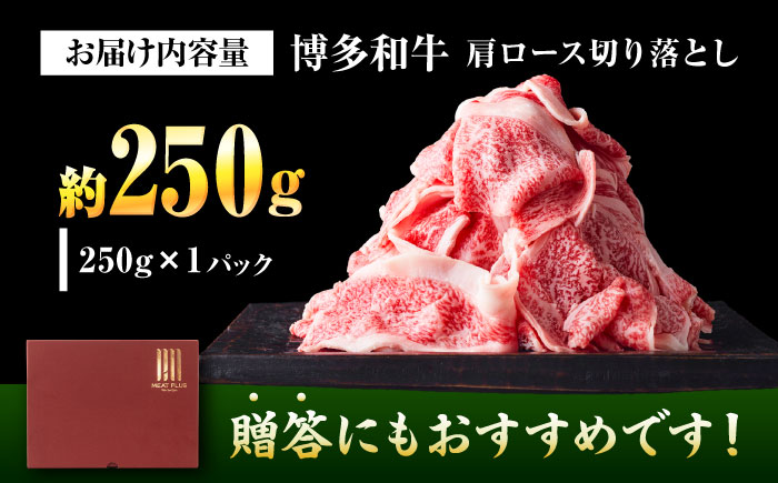 【A4～A5】 博多和牛 大判霜降り 贅沢切り落とし 250g 吉富町/株式会社MEAT PLUS [BGAB108]