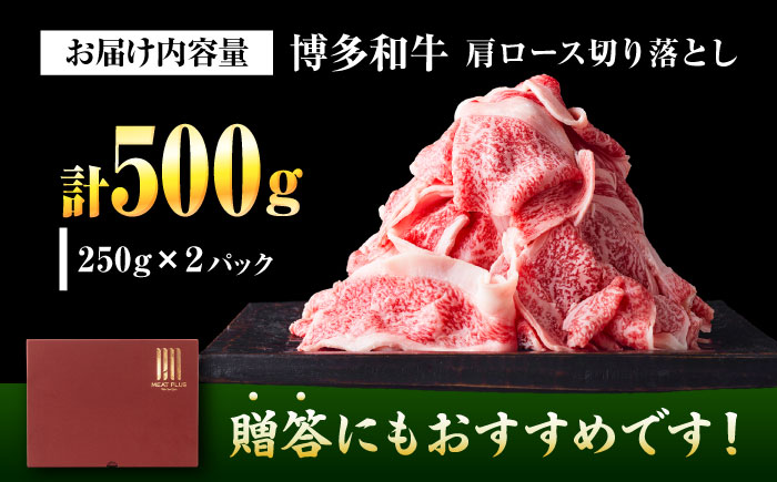 【A4～A5】 博多和牛 大判霜降り 贅沢切り落とし 500g (250g×2P) 吉富町/株式会社MEAT PLUS [BGAB109]