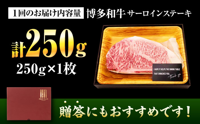 【全3回定期便】【A4～A5】博多和牛 サーロインステーキ 250g(250g×1枚) 吉富町/株式会社MEAT PLUS [BGAB115] 牛肉 サーロインステーキ さーろいんすてーき サーロイン