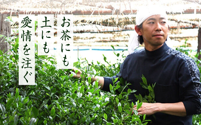 奥八女星野村 八女茶 深蒸し高級煎茶 (深蒸し茶) 100g×2袋 吉富町/株式会社ベネフィス [BGAF013] お茶 茶 深むし茶 深蒸し 緑茶 日本茶 高級 煎茶 茶葉 国産 カテキン ギフト 贈り物 福岡 八女 人気 おすすめ 福岡県