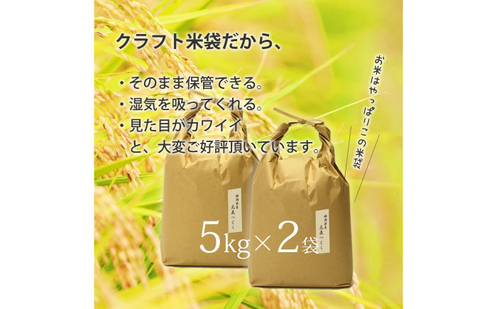 福岡県産 元気つくし 玄米 10kg (5kg×2袋) 吉富町/株式会社ベネフィス [BGAF020] 福岡県
